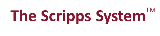 A green banner with red letters that say " chipps shop ".