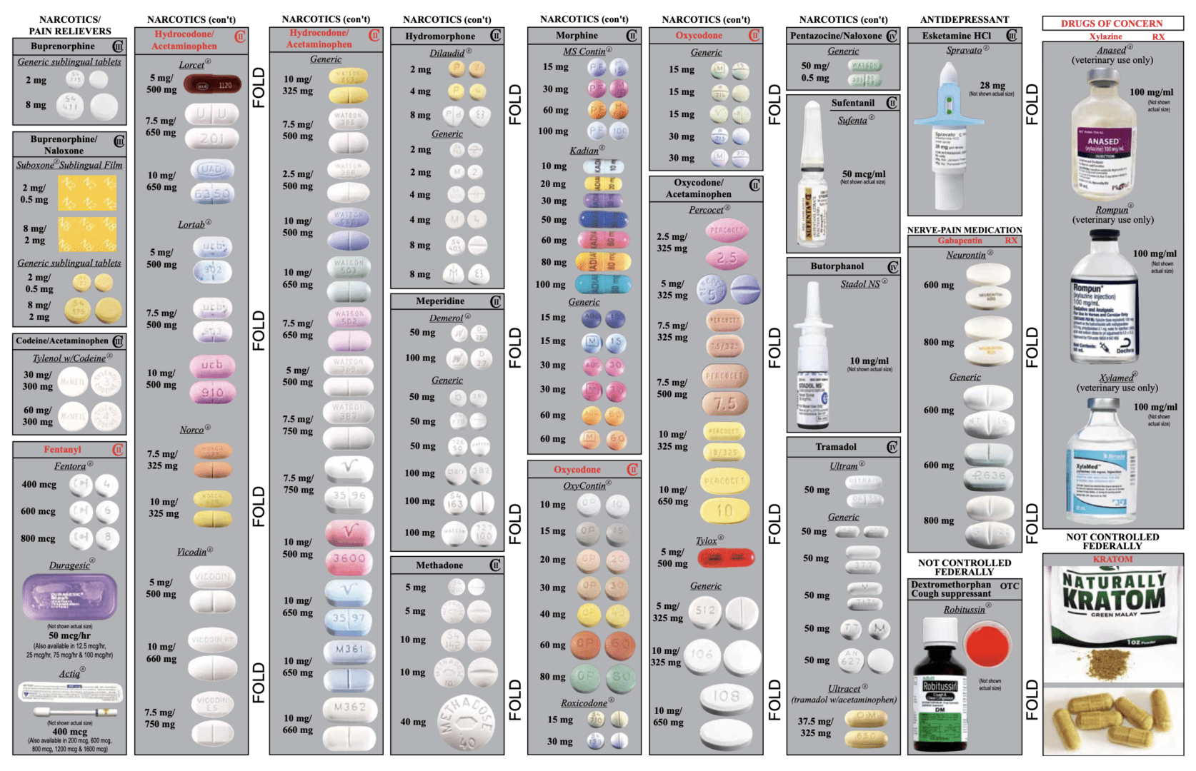 A large poster of many different types of pills.